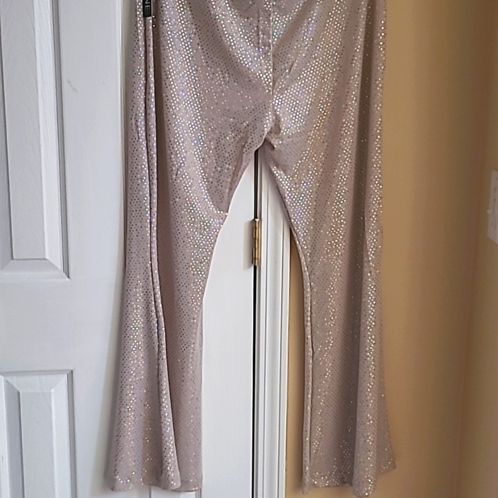 Beautiful Sparkly Pants NWT